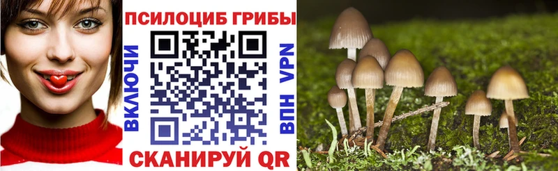 Псилоцибиновые грибы GOLDEN TEACHER  Купить  Фурманов 